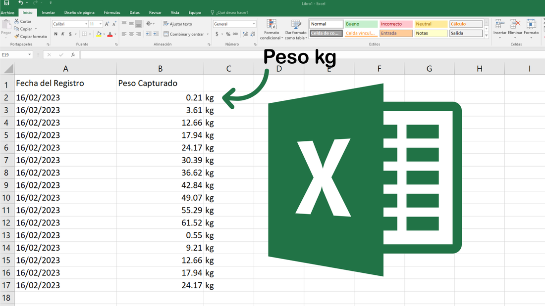 Peso de báscula registrado automáticamente en Excel con PV-COM