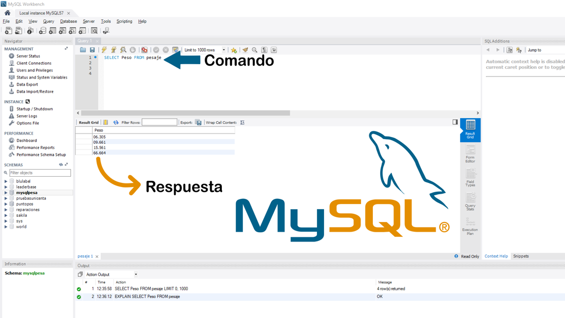 Pesos de báscula guardados en MySQL Workbench con PV-COM